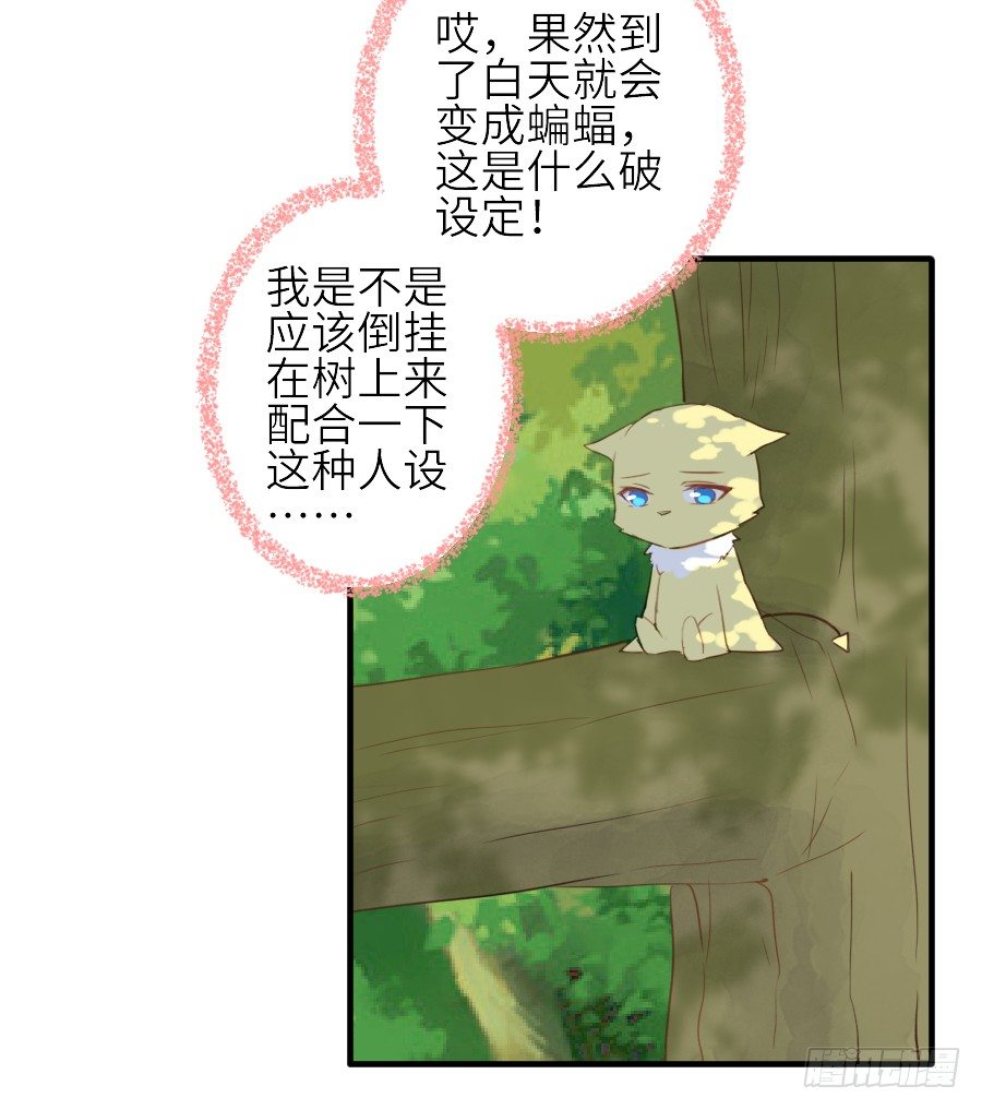 男主就应该有不输于女主的桃花(1/2)-第31话