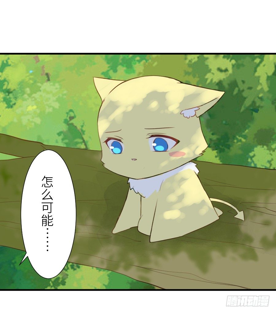 男主就应该有不输于女主的桃花(1/2)-第31话