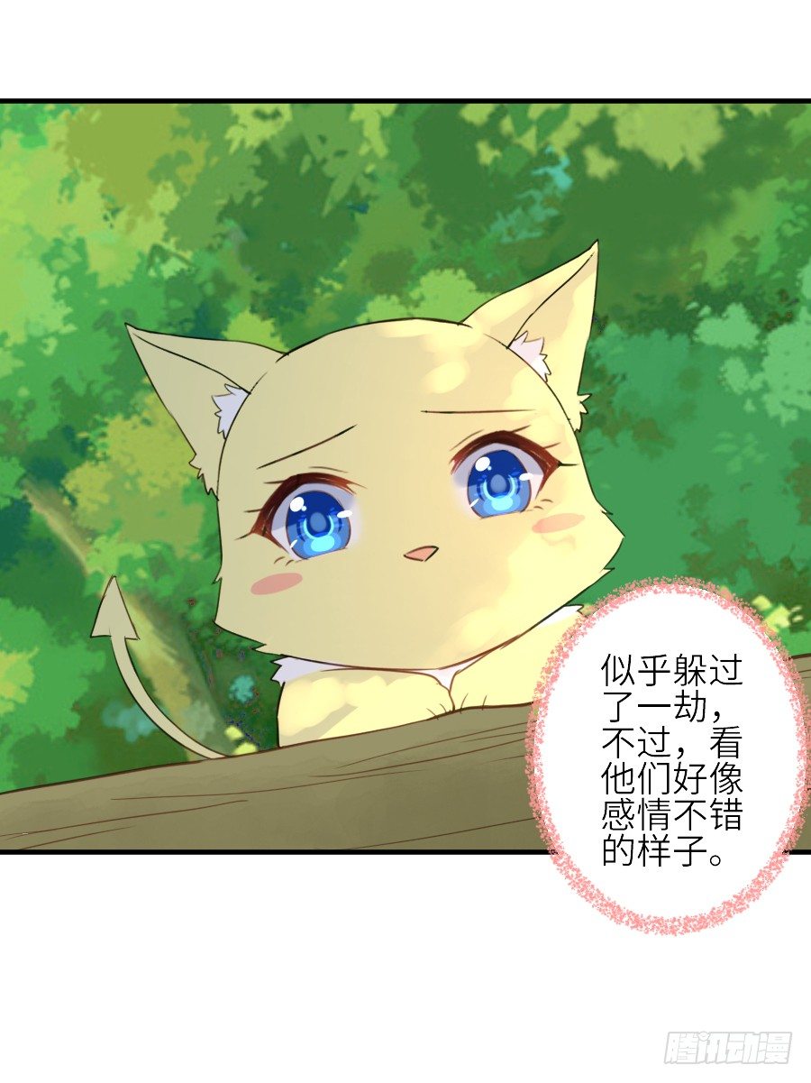 男主就应该有不输于女主的桃花(1/2)-第31话