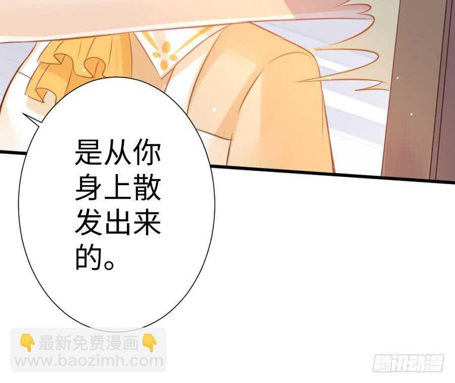 喜欢与欺负(1/3)-第75话