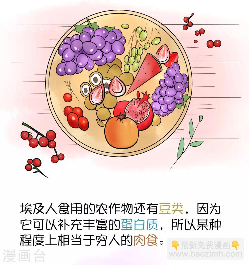 王的第一寵後 - 王的茶話會4 福利番外4：古埃及是否有“滿漢全席”？ - 1