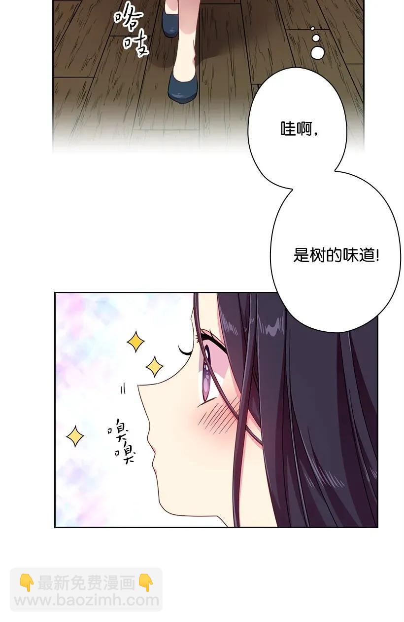 39 魔女之林(1/2)-第39话