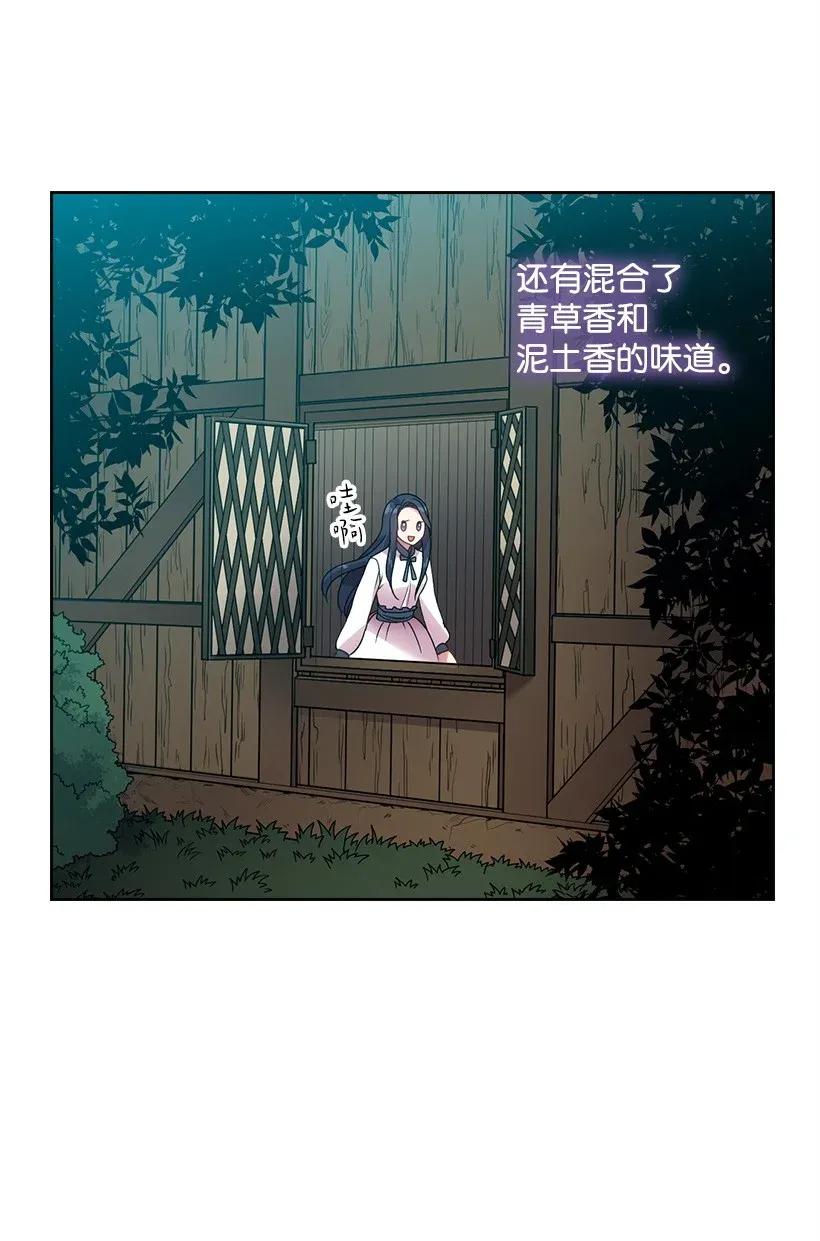 39 魔女之林(1/2)-第39话