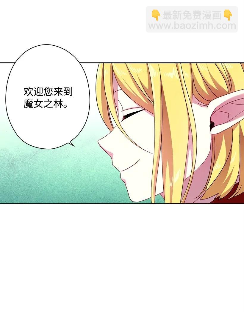 39 魔女之林(1/2)-第39话