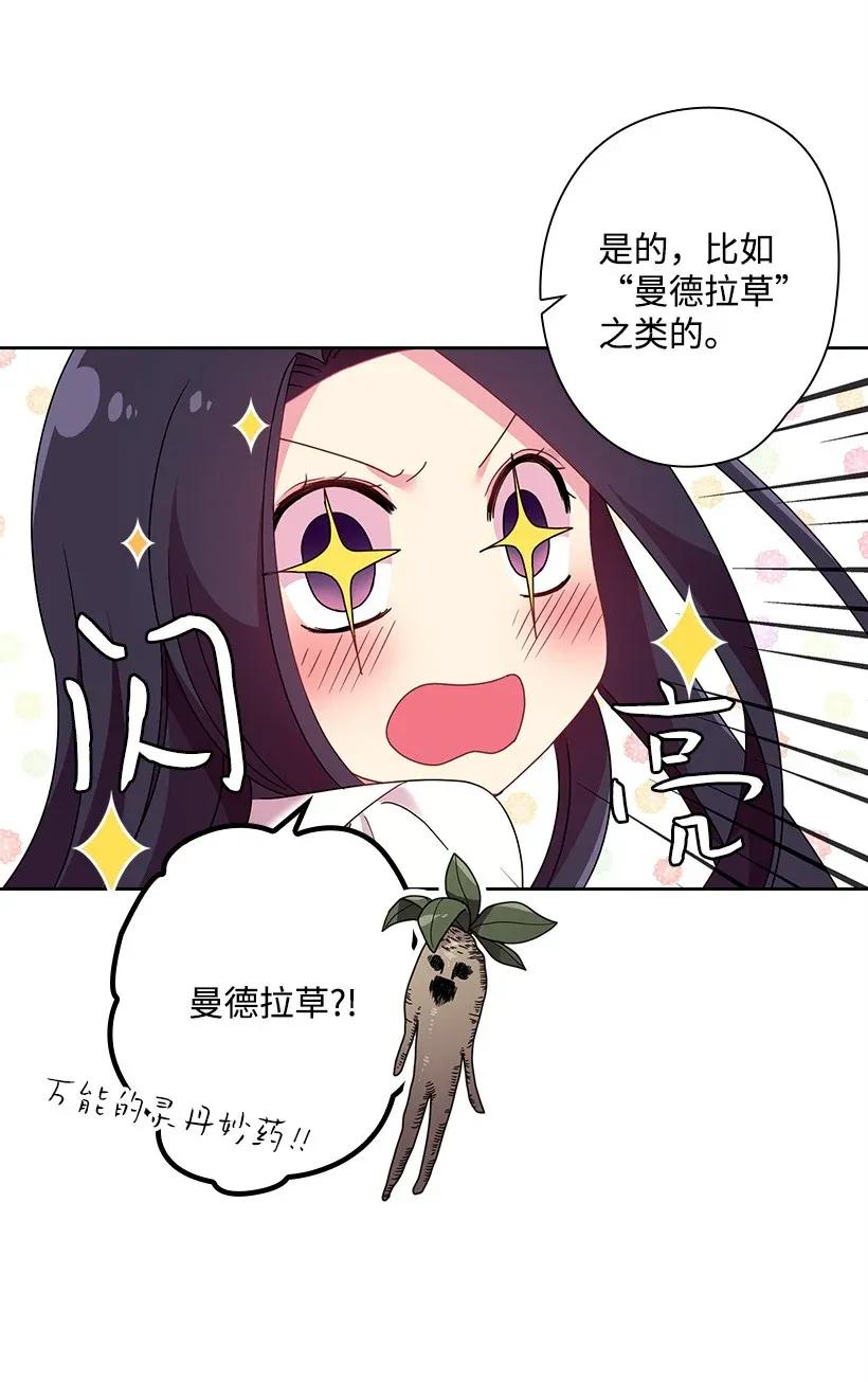 39 魔女之林(1/2)-第39话