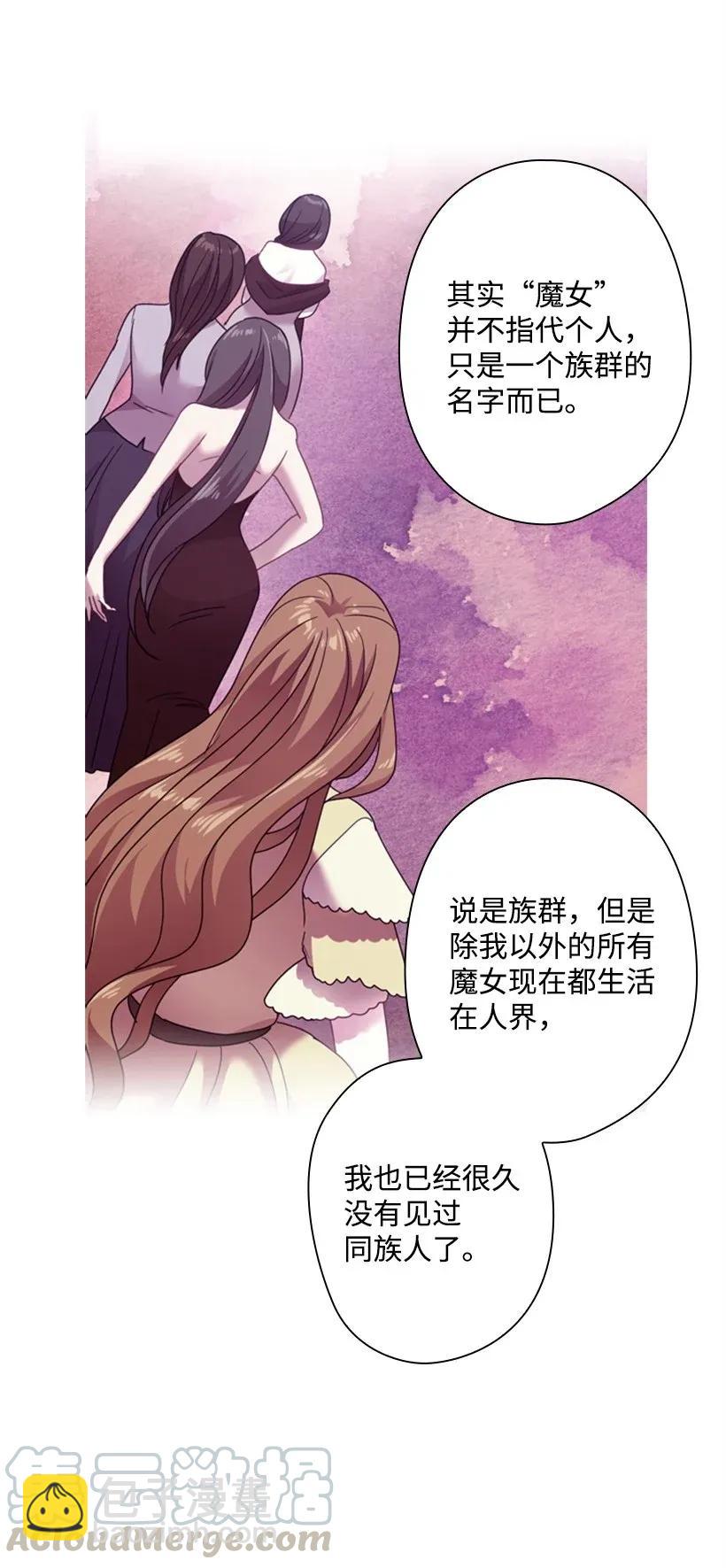 39 魔女之林(1/2)-第39话