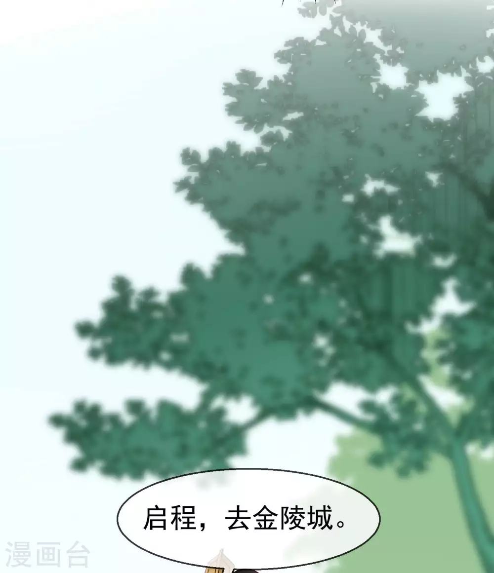 王妃是朵白蓮花 - 第37話 王爺復明，指日可待 - 4