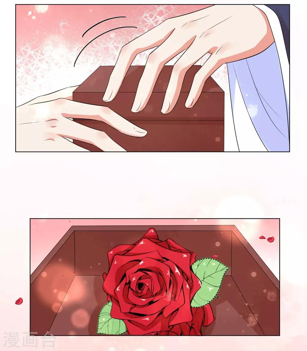 第52话 花朝节的玫瑰-第61话