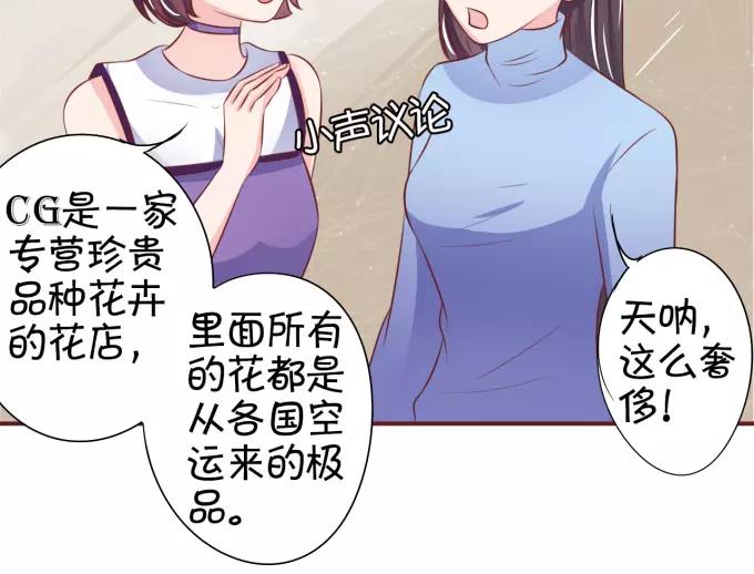 第25话(1/2)-第25话