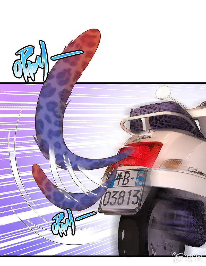 少女斗大猫(1/3)-第19话