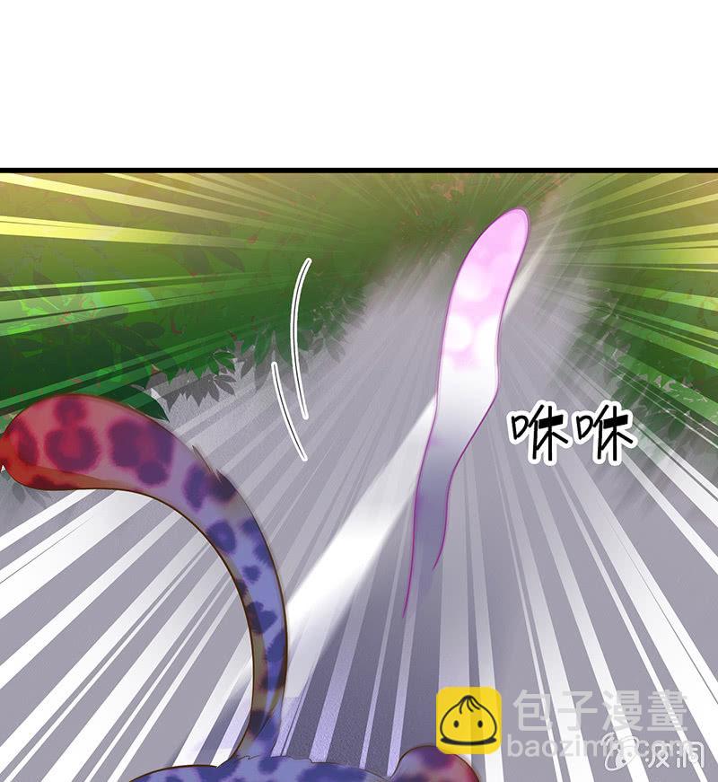 少女斗大猫(1/3)-第19话