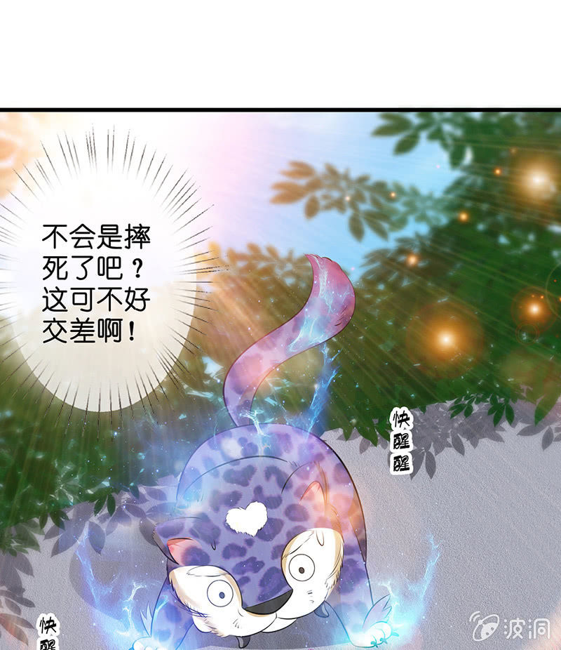 少女斗大猫(1/3)-第19话