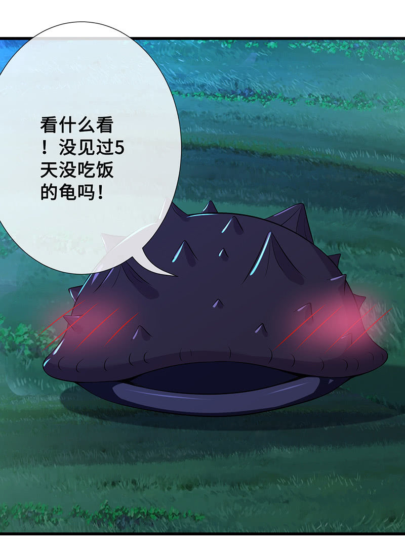 好惨一龟龟-第63话