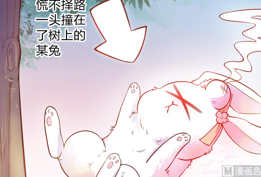 第9话 兔子蹬山(1/2)-第9话