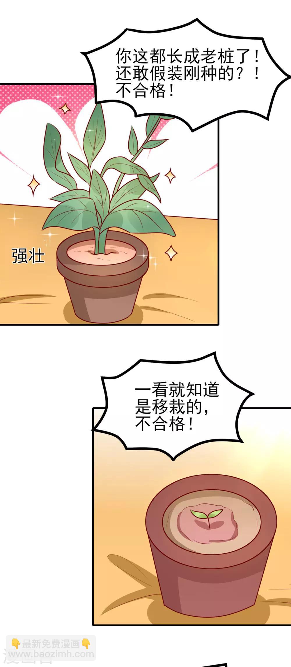 第168话 森林迷障-第175话