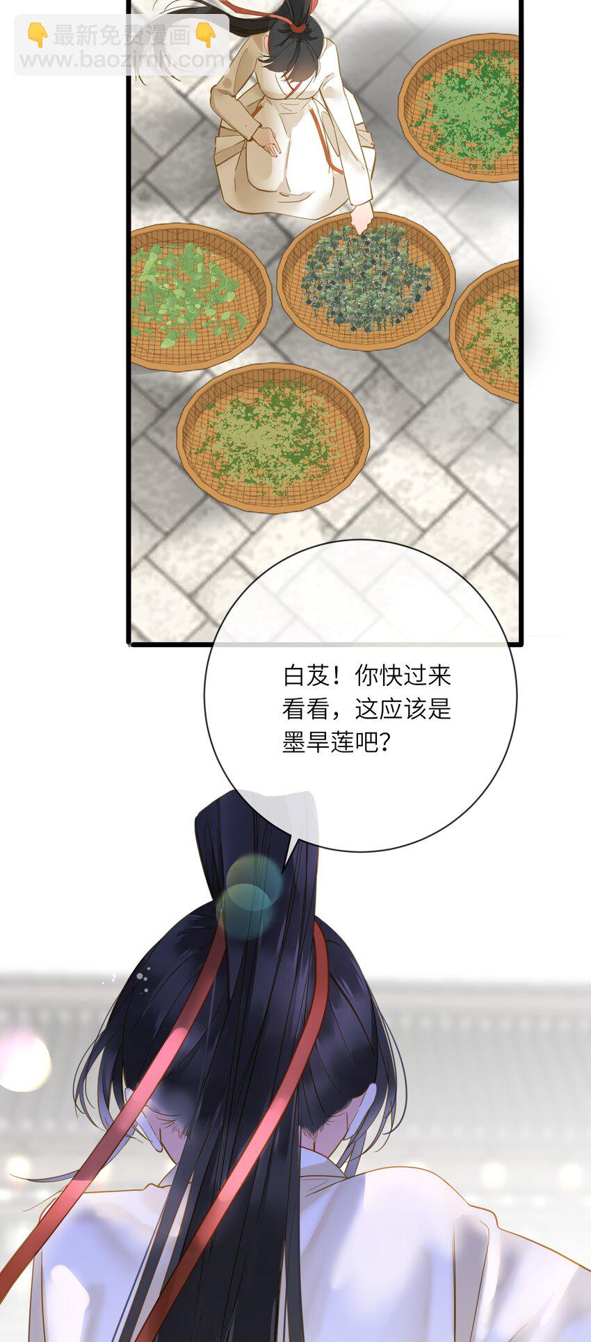 025 生分(1/2)-第25话