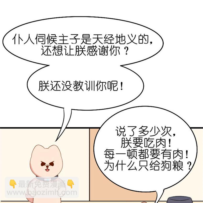 35 狗语翻译器(1/2)-第41话