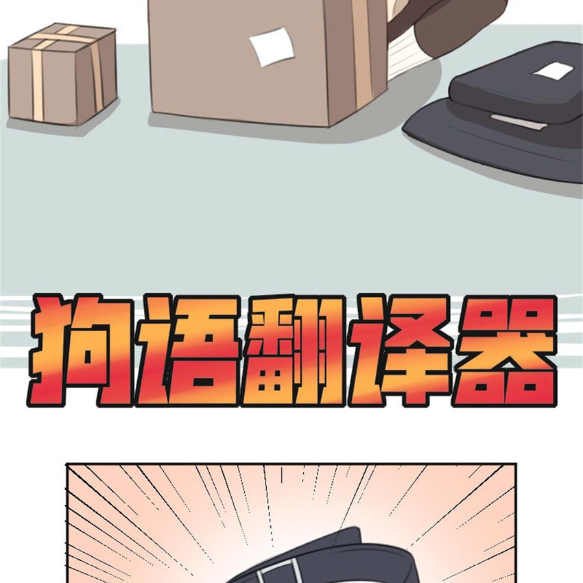 35 狗语翻译器(1/2)-第41话