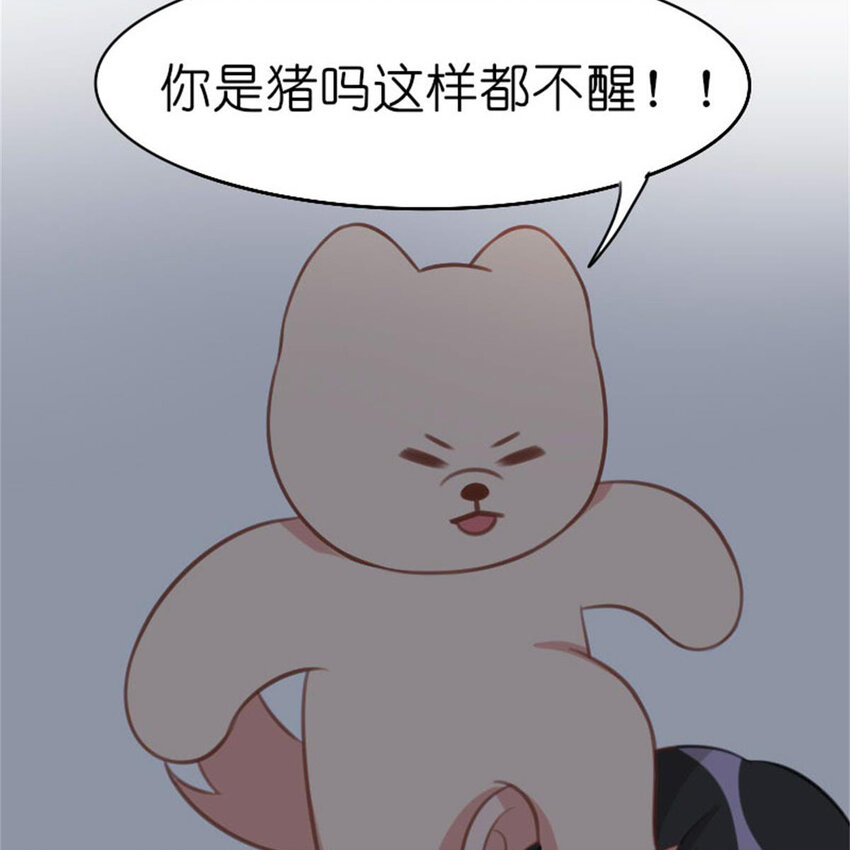 35 狗语翻译器(1/2)-第41话