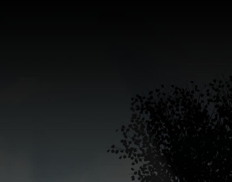 第24话 画作里的故事！(1/4)-第25话