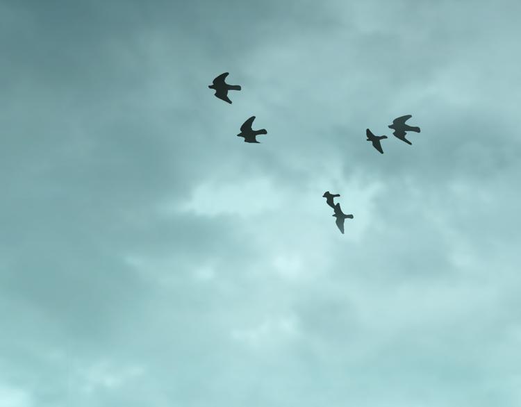 第38话 寻找小孩的家伙！(1/3)-第39话