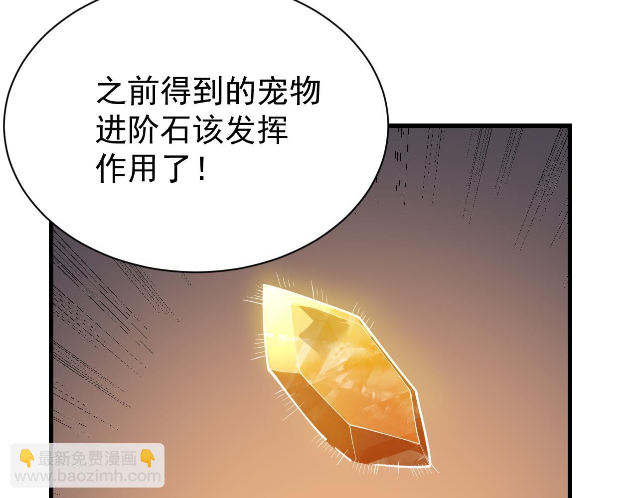 網遊：因爲太浪，我成了全服公敵！ - 第99話 寵物進階(1/4) - 1