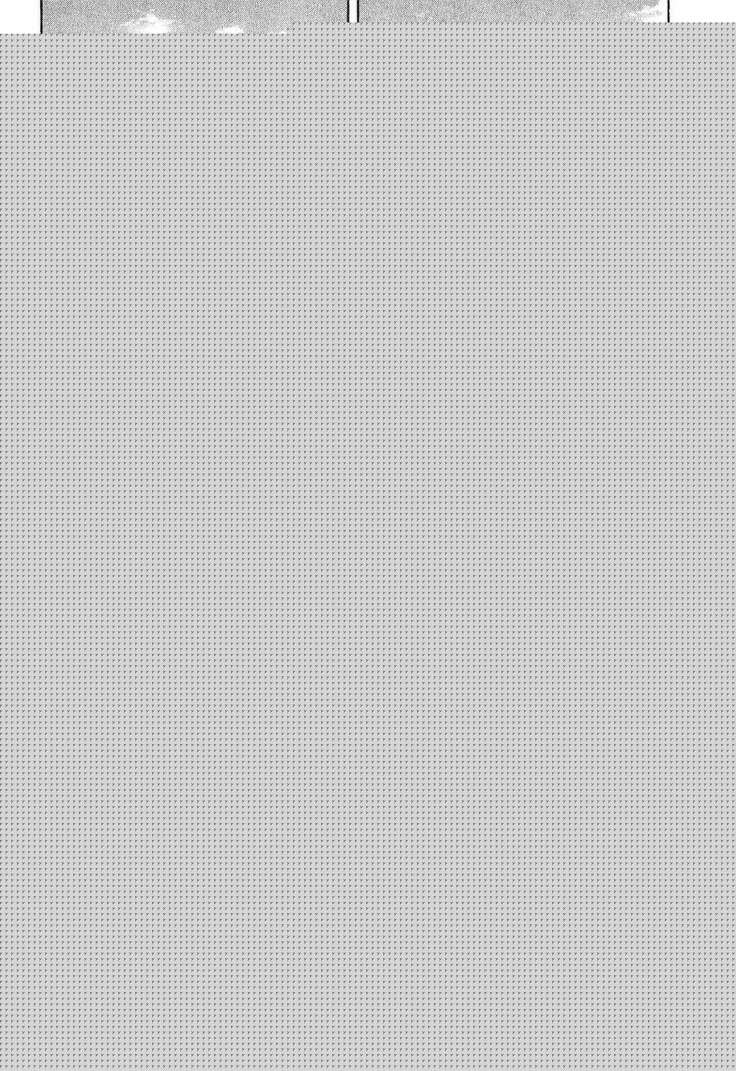 王者天下 - 第24卷(4/5) - 2