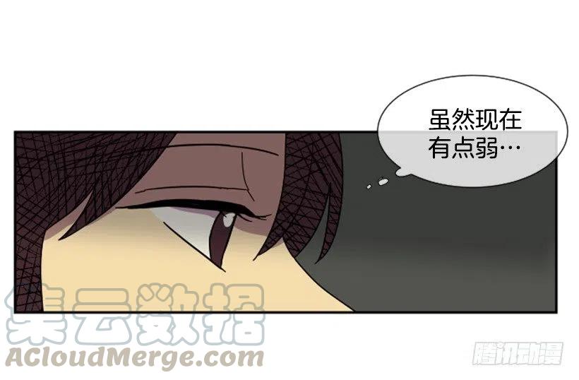 挑衅（7）-第41话