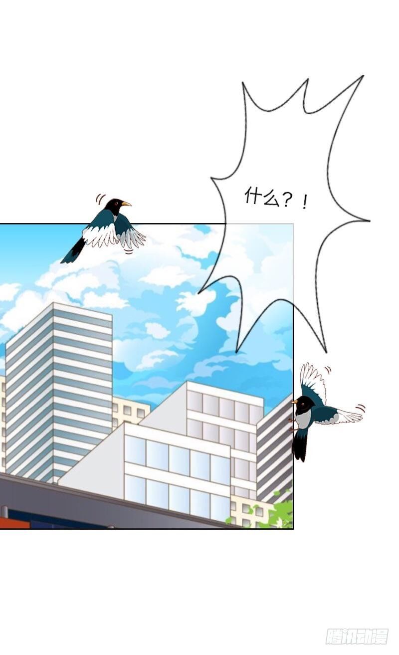 不作不死&hellip;&hellip;-第13话