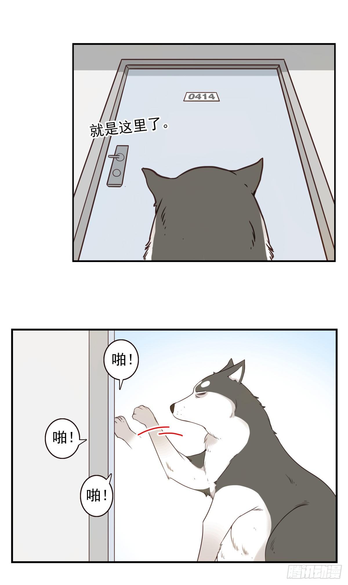 006-好丑的狗-第7话