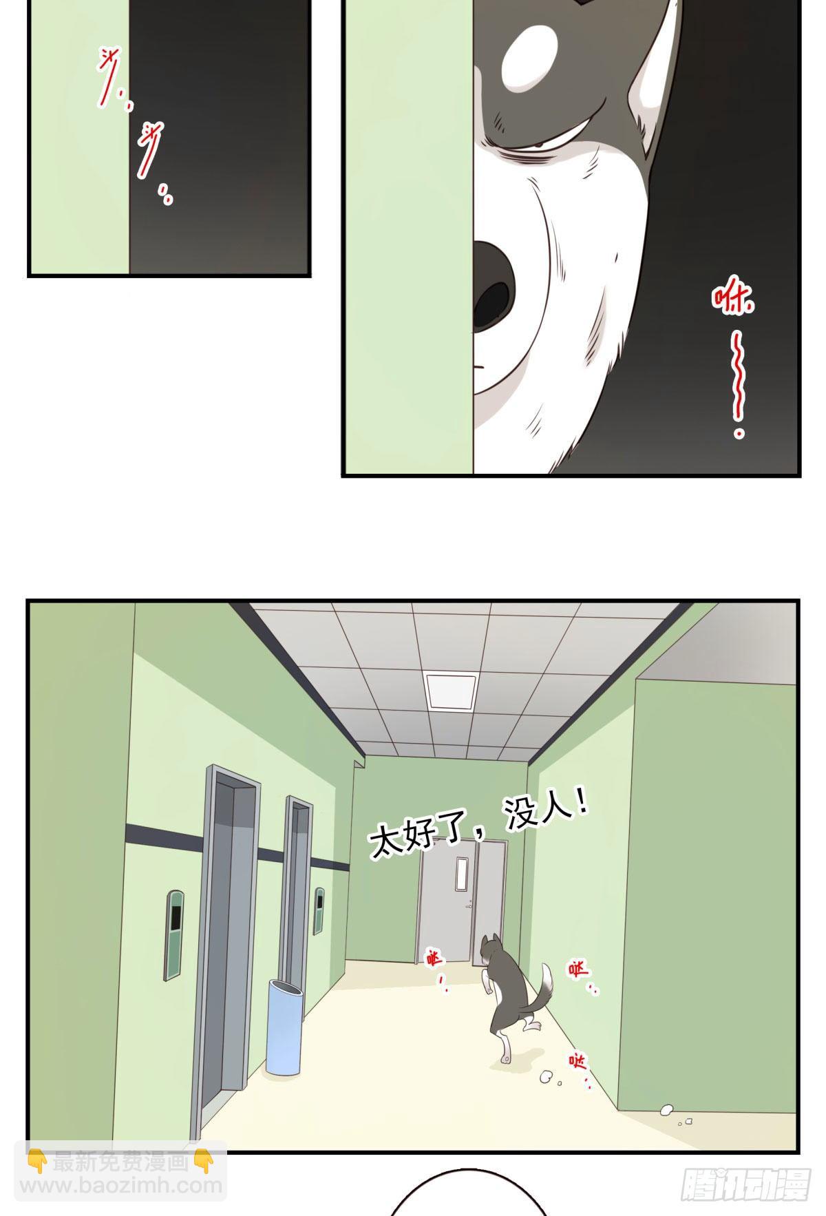 006-好丑的狗-第7话