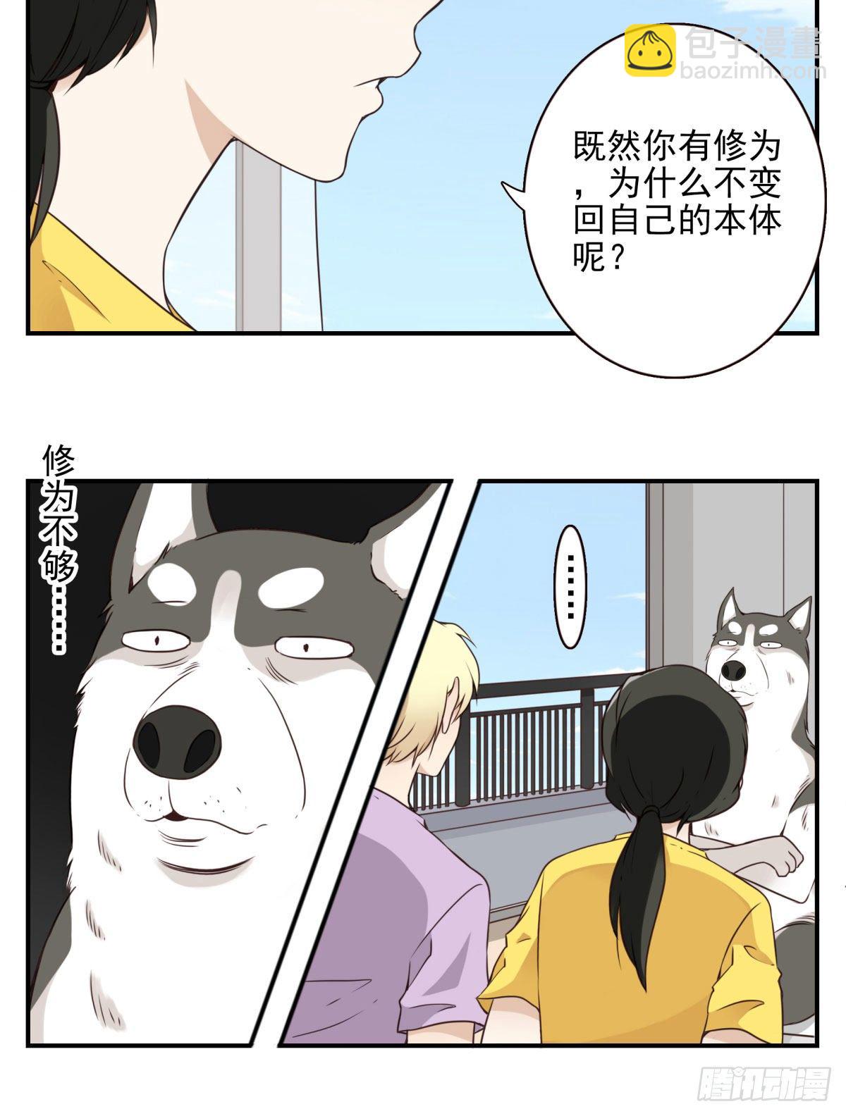 006-好丑的狗-第7话