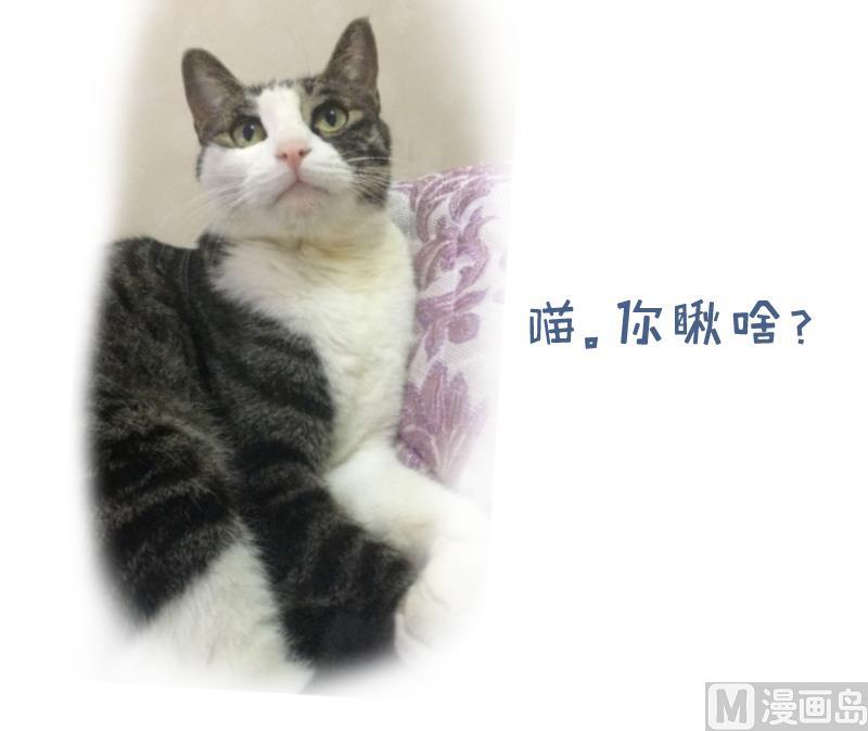 第13话 违规！负分=抹杀！1-第13话