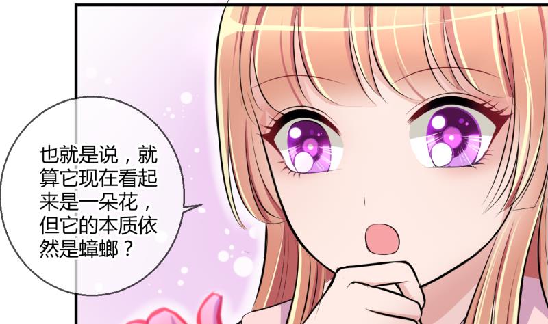 第29话 神奇的交易物品 1-第29话