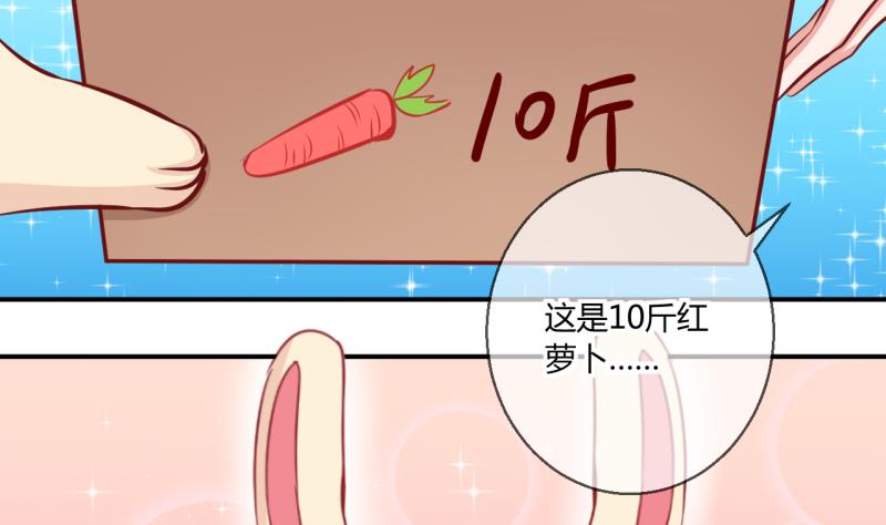第55话 兔子先生的交易物品 1-第55话