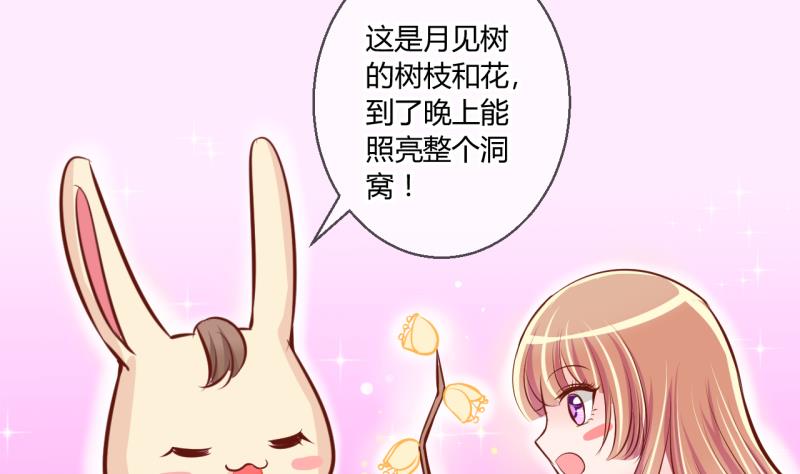 第55话 兔子先生的交易物品 1-第55话