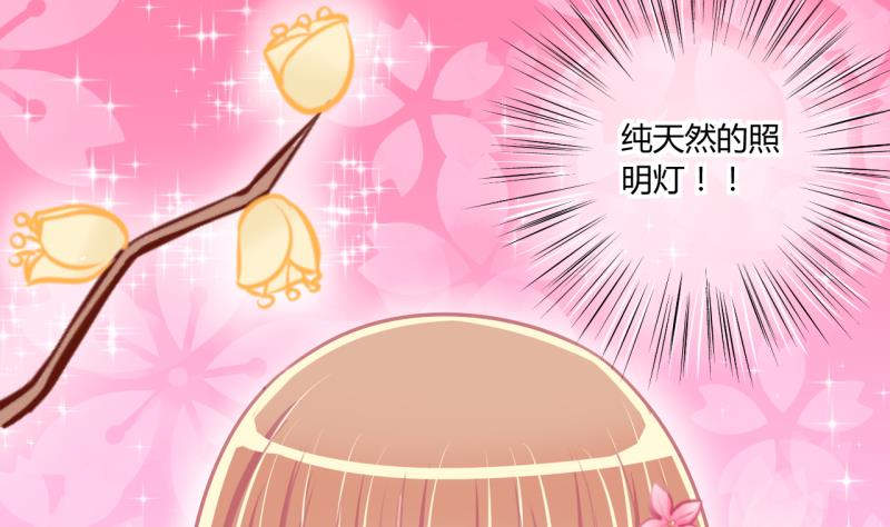 第55话 兔子先生的交易物品 1-第55话