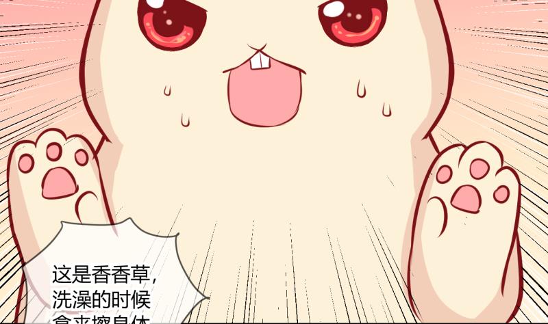 第55话 兔子先生的交易物品 1-第55话