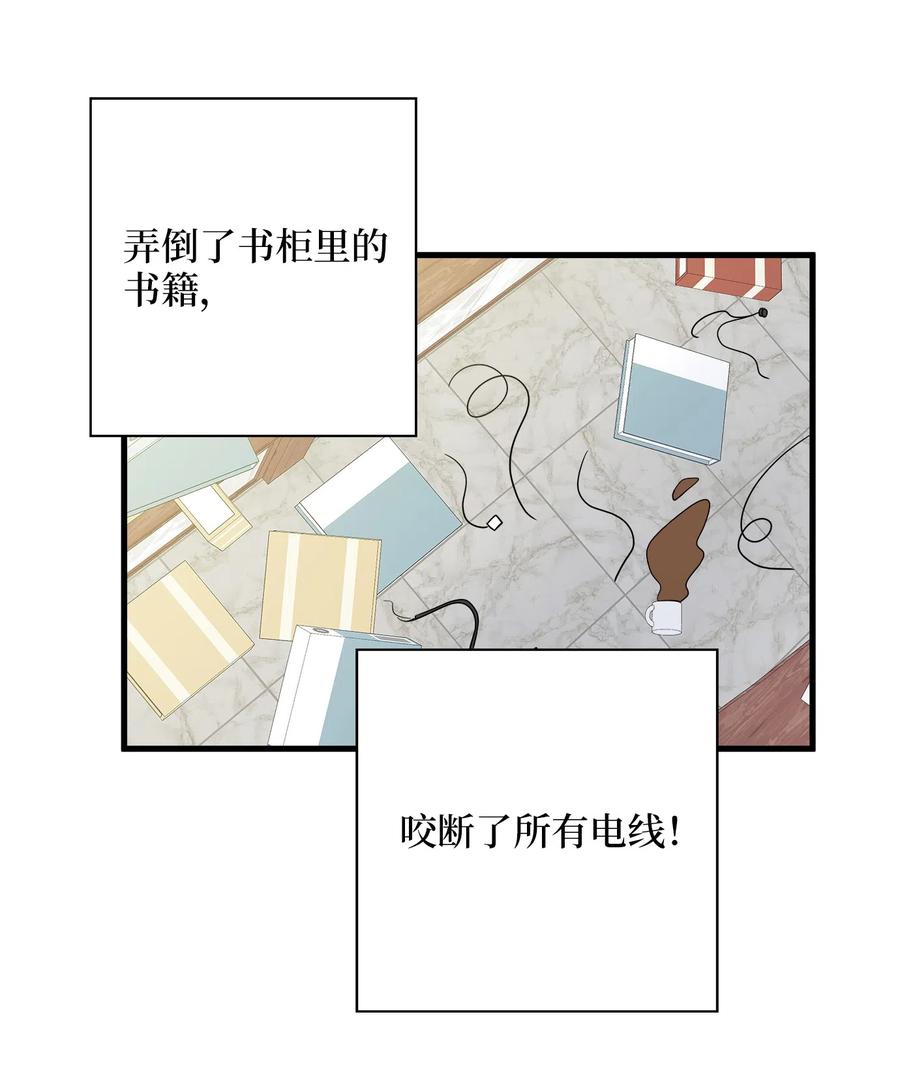 11 暗流涌动(1/2)-第11话