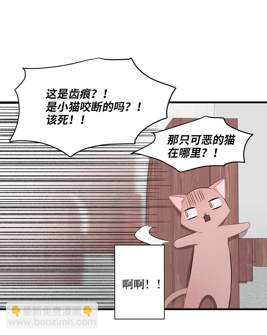 11 暗流涌动(1/2)-第11话