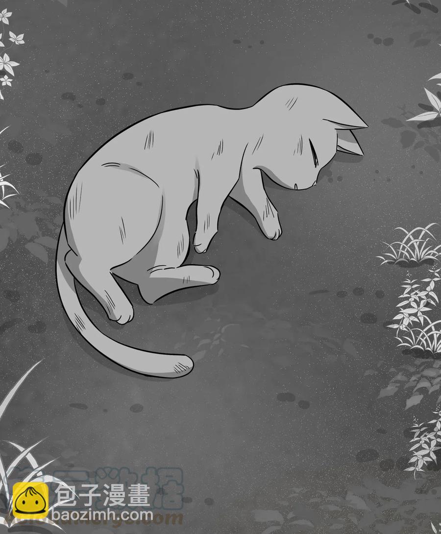 41 美美(1/2)-第41话