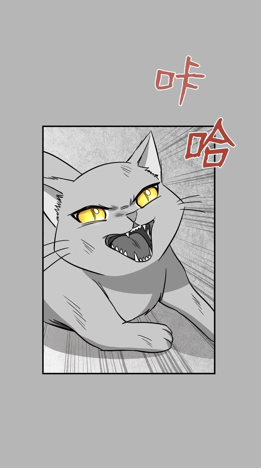 41 美美(1/2)-第41话