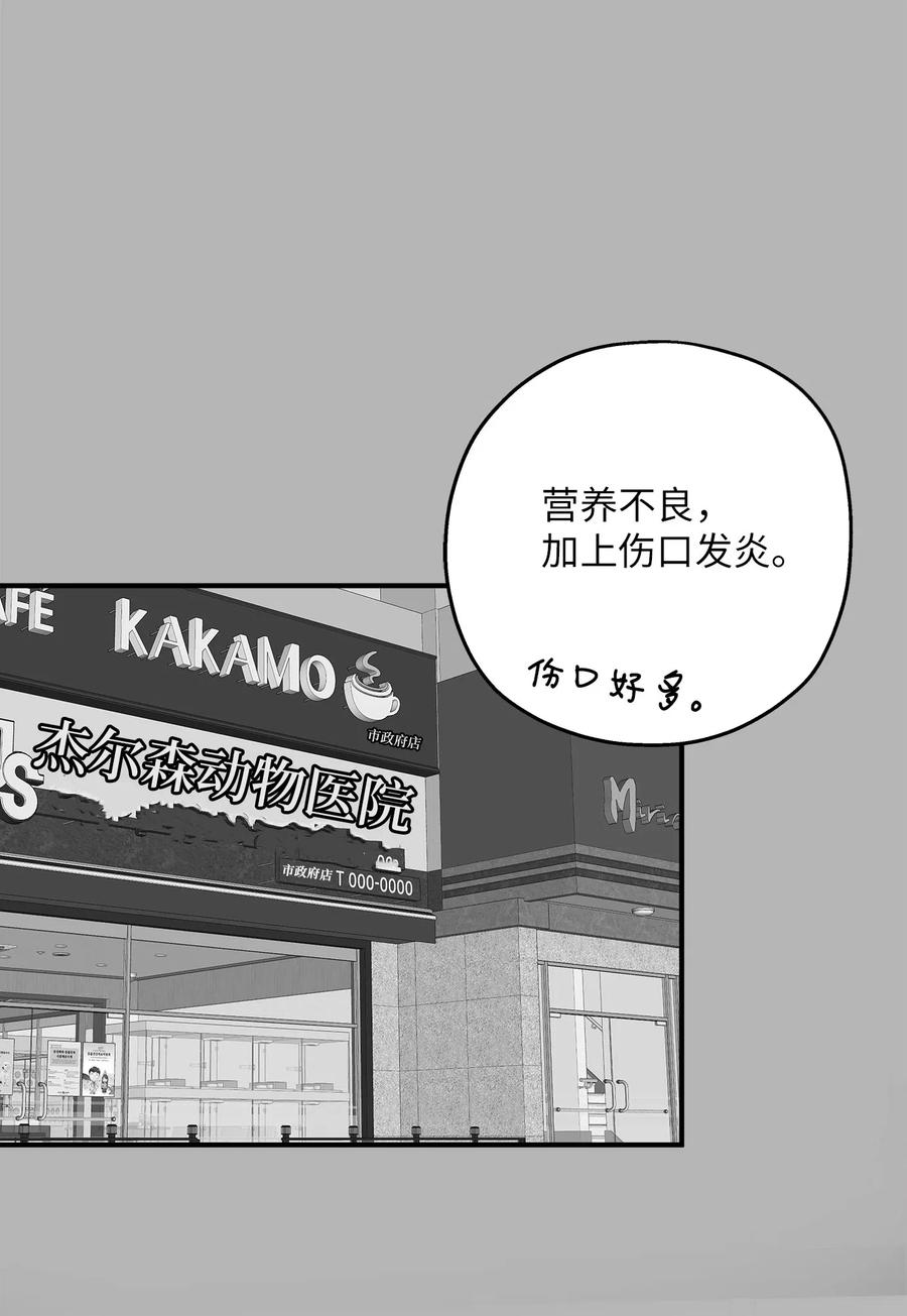 41 美美(1/2)-第41话