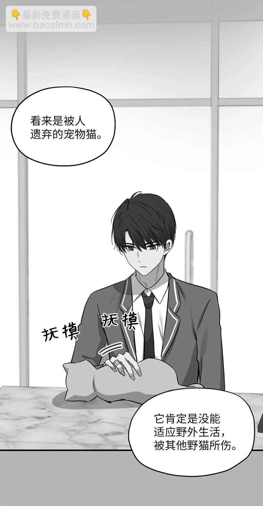 41 美美(1/2)-第41话