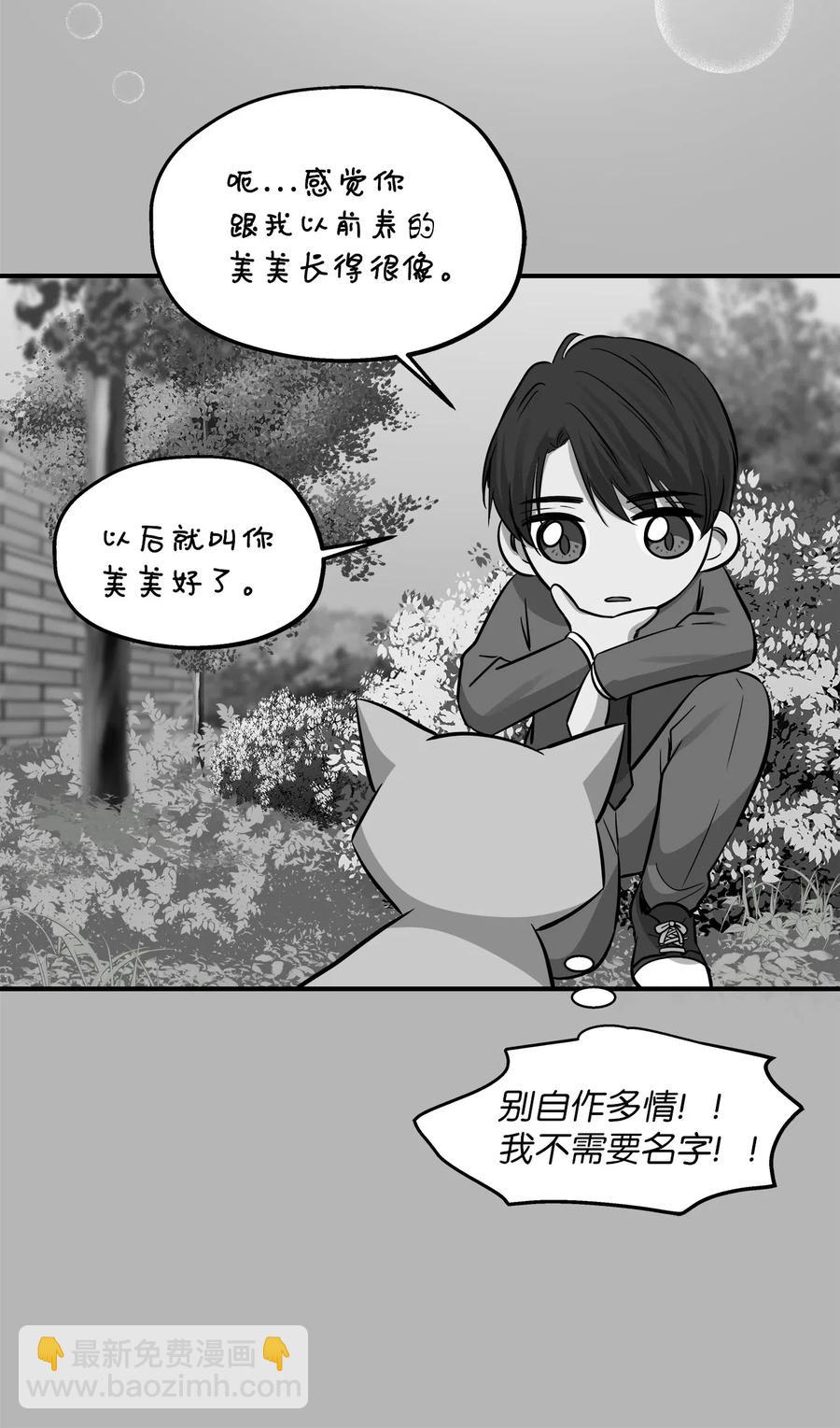 41 美美(1/2)-第41话