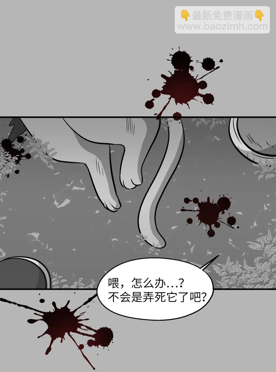 41 美美(1/2)-第41话