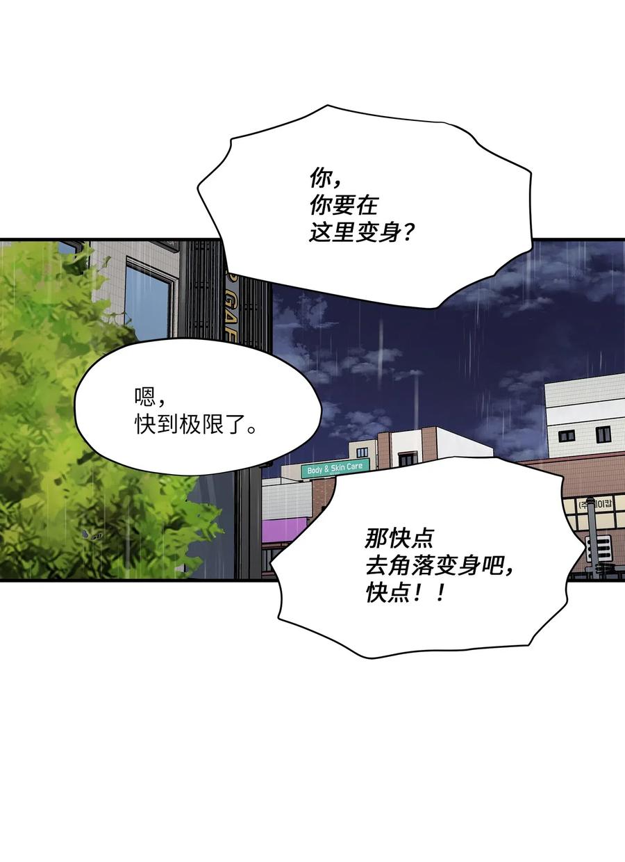 55 两只猫(1/2)-第55话