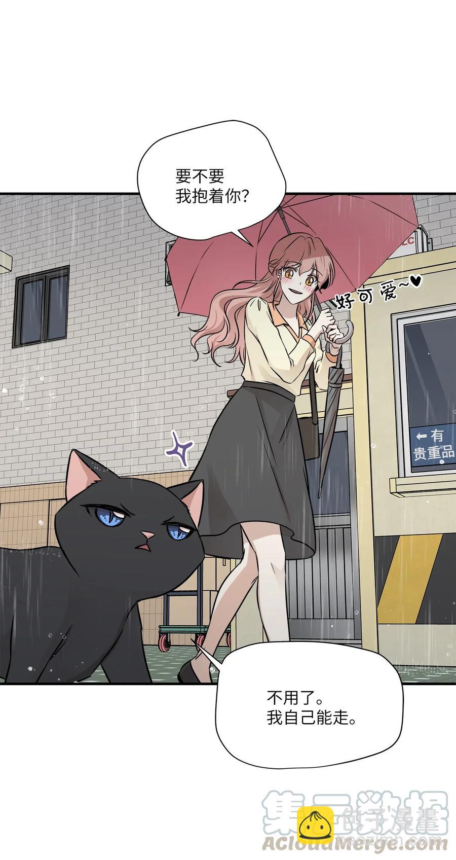 55 两只猫(1/2)-第55话