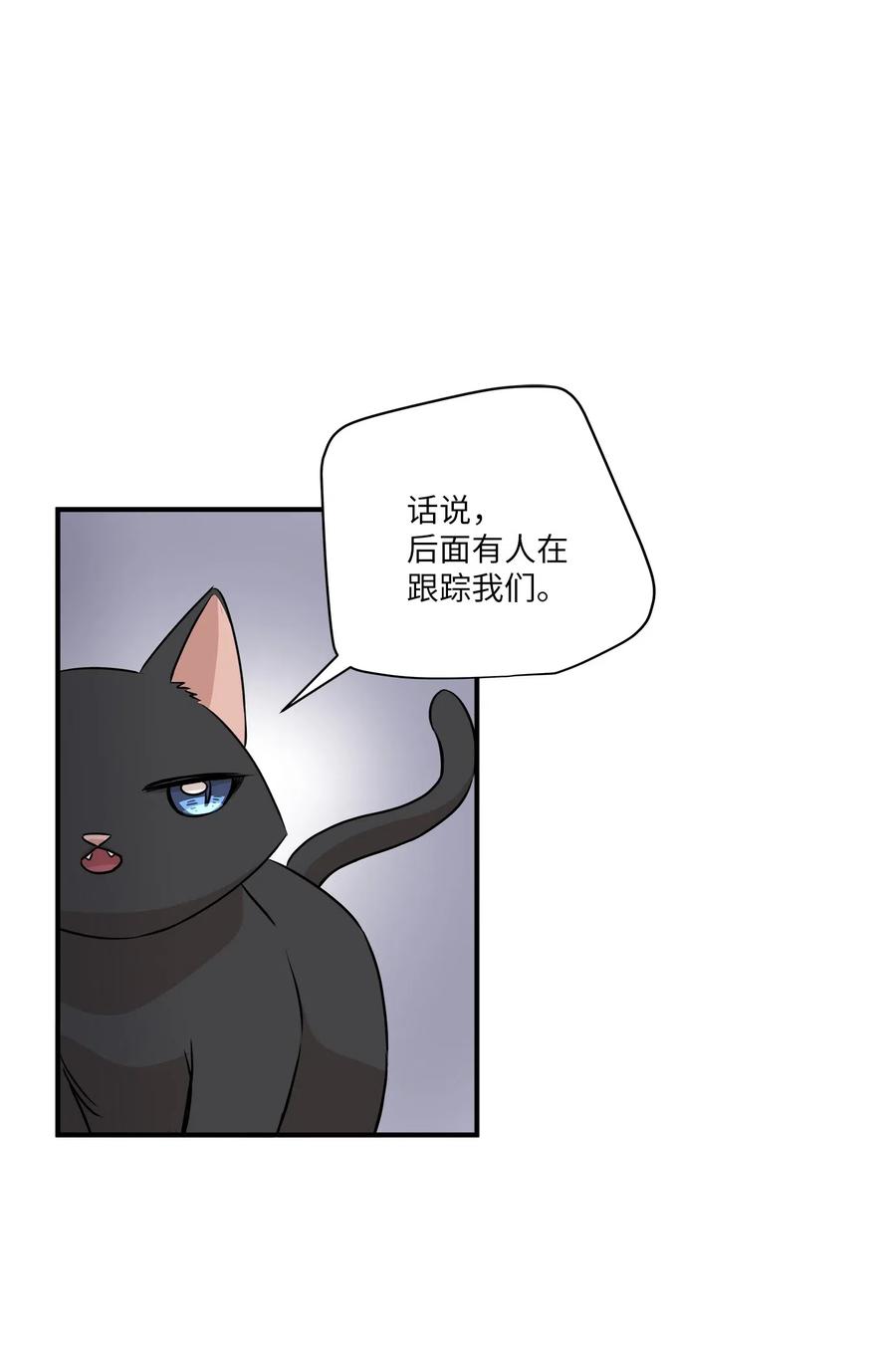 55 两只猫22