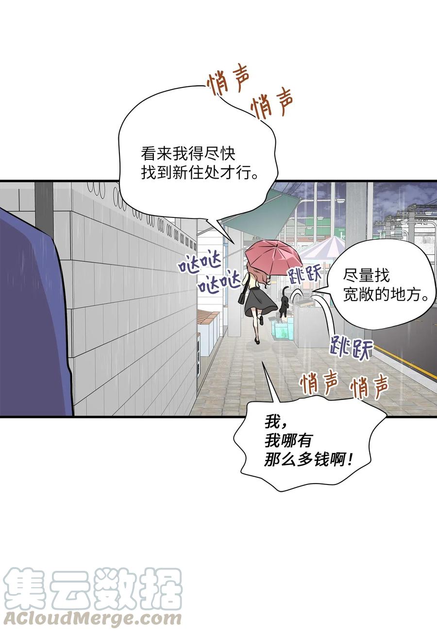 55 两只猫(1/2)-第55话